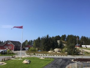 IMG_5279.jpg