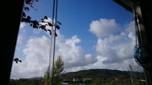 DSC_0027.jpg