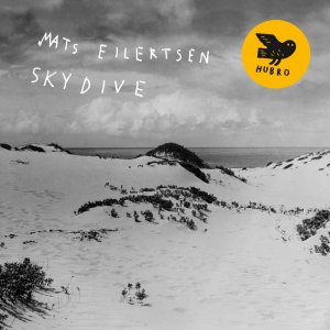 SkyDive_72dpi.jpg