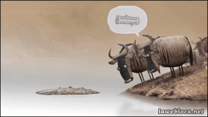 tumblr_n2gp0mDNK51s02vreo1_400.gif