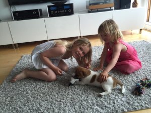 IMG_0029.jpg