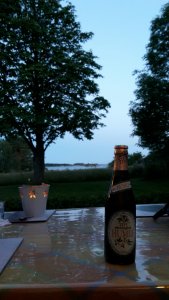 Thy paa gaarden sommer 15.jpg