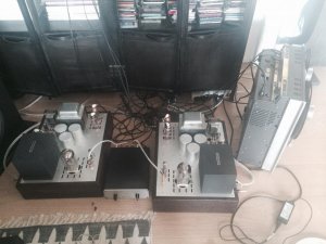13e1seogstuder.jpg