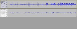 hflevel tracks001.jpg