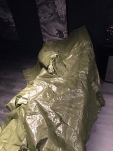 IMG_2805.jpg