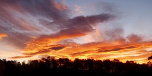 thumb_PA292682_1024.jpg