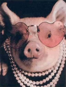 beautypig5my.jpg