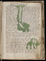 Voynich manuscript.jpg