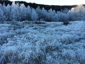 IMG_0777.jpg
