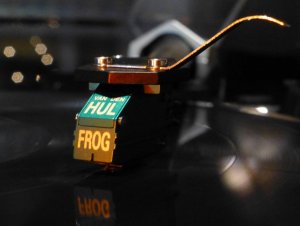 Van den Hul Frog 10. des. 2015.jpg