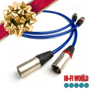 Cham XLR.jpg