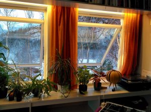 IMG_20160215_154404.jpg