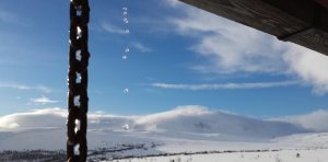 20160220_155401.jpg