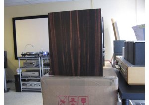 ProAc DB1 Ebony p5_X-1.jpg