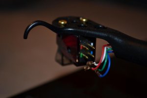 DSC_0256.jpg