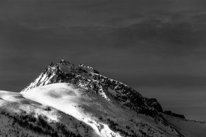 IMG_7735-2.jpg