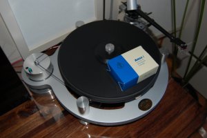 Copy of DSC_0352.JPG