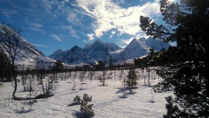 DSC_0275.jpg