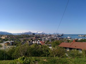 IMG_20160529_100441.jpg