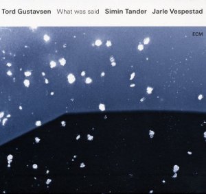 Tord-Gustavsen-What-Was-Said-500x471.jpg