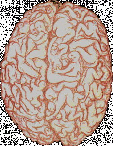 image.gif
