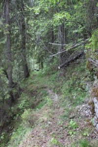 IMG_9058.jpg
