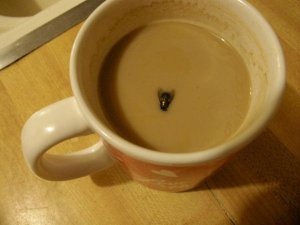 image.jpeg