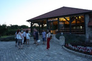 IMG_9490.jpg