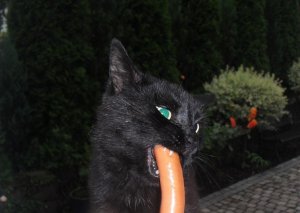 image.jpg