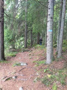 20160824_120920788_iOS.jpg