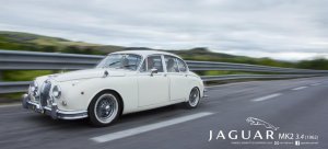 jaguar_by_gabrielezannotti-d68its9.jpg