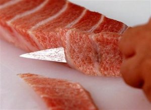 toro 3.jpg