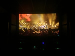 IMG_5962.jpg