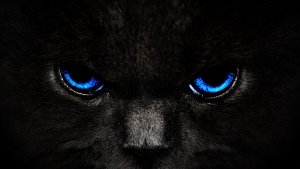 im-watching-you-wallpaper.jpg