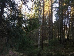 20161226_121439933_iOS.jpg
