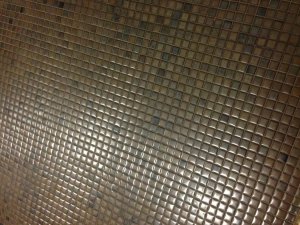 IMG_4859.jpg