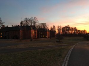 IMG_0703.jpg