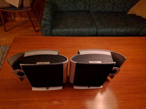 IMG_20170203_195242.jpg