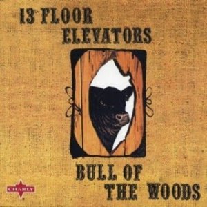 The 13th Floor Elevators-Bull Of The Woods.jpg