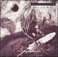 David_Sylvian-Secrets_of_the_Beehive_(album_cover).jpg