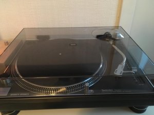 IMG_0282.jpg