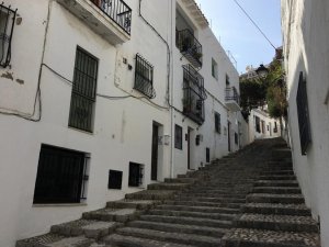 IMG_0877.jpg