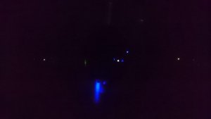 DSC_0031.jpg