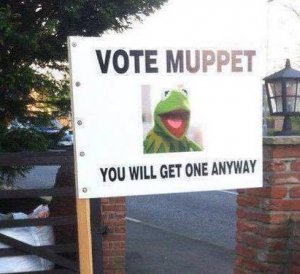 vote muppet.jpg