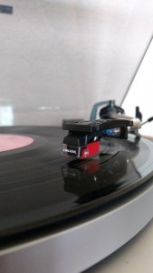 IMG_20170503_160836994.jpg