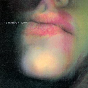 PJHarveyDryalbumcover.jpg