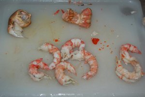 DSC_0551.jpg