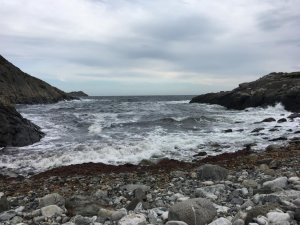 IMG_1174.jpg