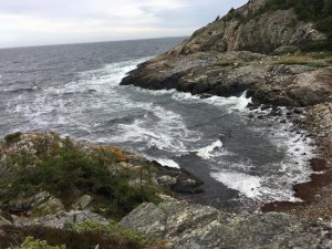 IMG_1176.jpg