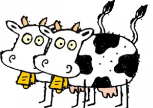 Kuer.png
